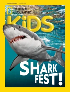 Find Your Shark Bestie Take Our Quiz to Discover Your Shark Soulmate