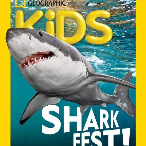 Find Your Shark Bestie Take Our Quiz to Discover Your Shark Soulmate