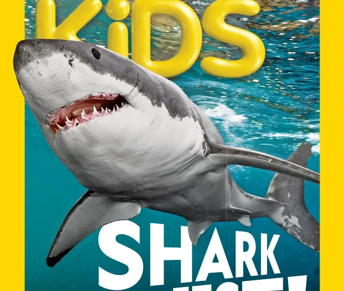 Find Your Shark Bestie Take Our Quiz to Discover Your Shark Soulmate